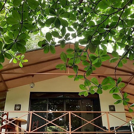Apartament Casa Martina Cahuita Zewnętrze zdjęcie
